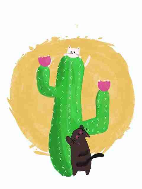 蘑菇影视官网高手心得:隐私争议背后真相