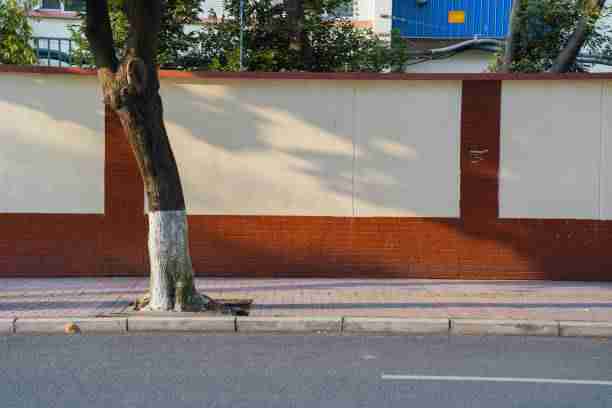 蘑菇影视官网高手心得:隐私争议背后真相