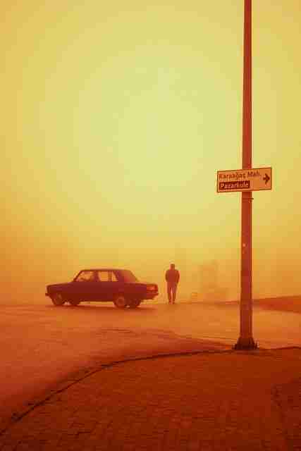 蘑菇视频电脑版——粉丝经济幕后故事榜单  第2张