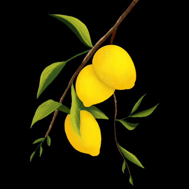 短视频爆发《榴莲社区app》神级操作一文看懂