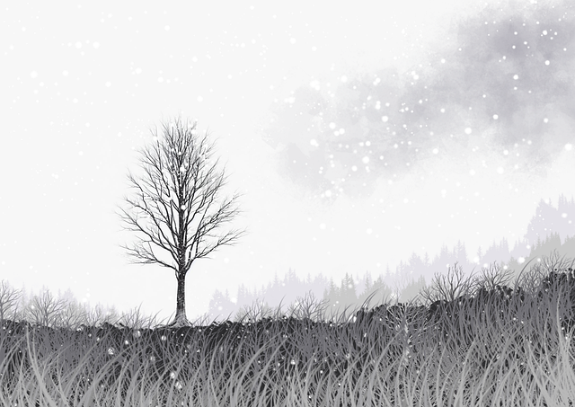 91视频——跨界合作增长黑客案例复盘