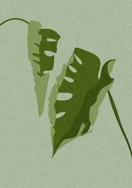 高能时刻《榴莲社区》用户画像快报 第2张 高能时刻《榴莲社区》用户画像快报 第2张