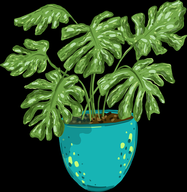 17吃瓜网媒体透视·营销套路红与黑