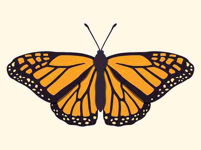 91视频数据洞察·营销套路警示录